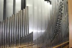 organ-pipes